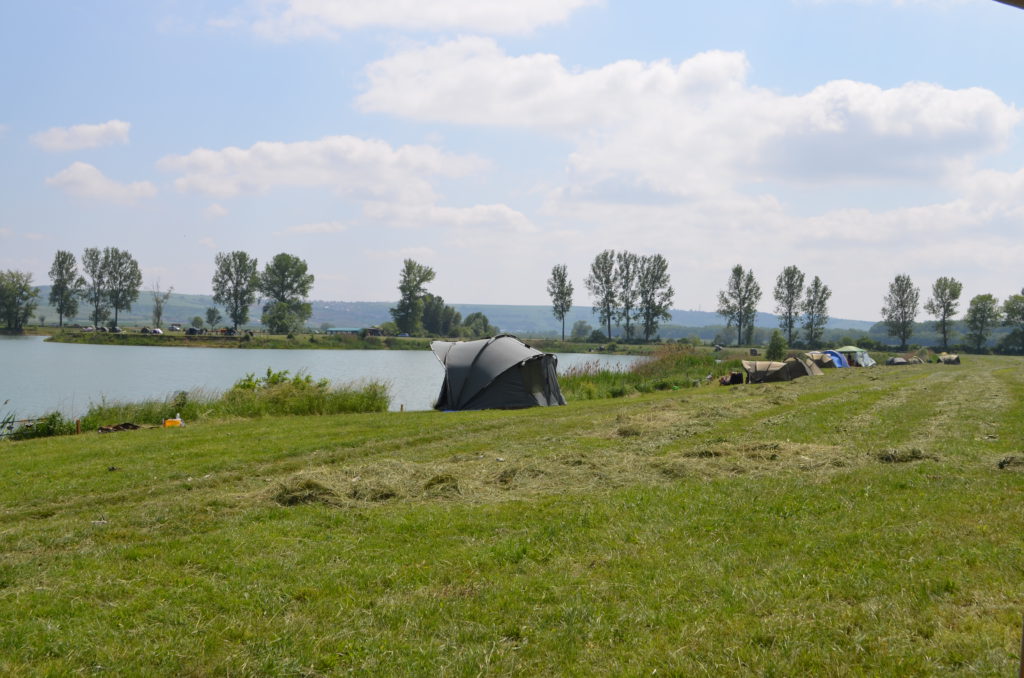 DSC_0080